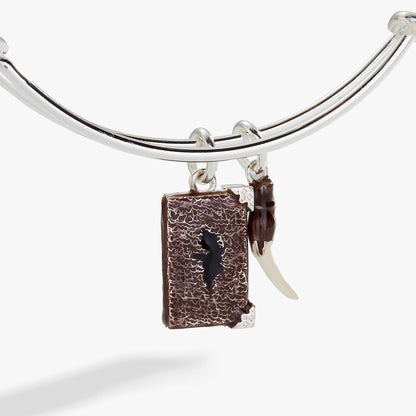 Harry Potter™ Diary and Basilisk Fang Bangle